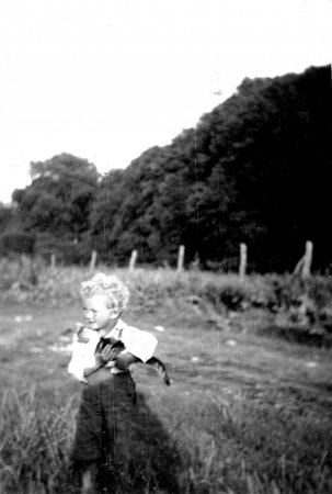 Blick von den Häusern im Hinterdorf zur Lindenallee im Park (Juli 1931)