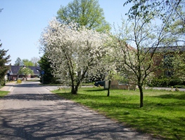 Frühling