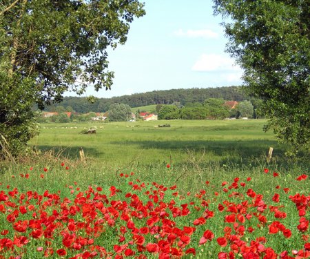 Blick auf Schlakendorf
