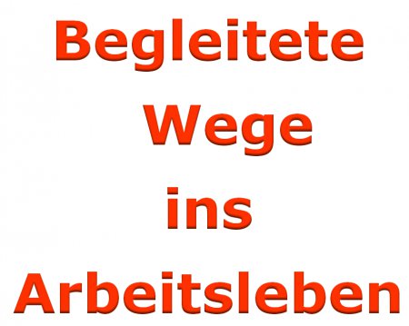 Begleitete Wege