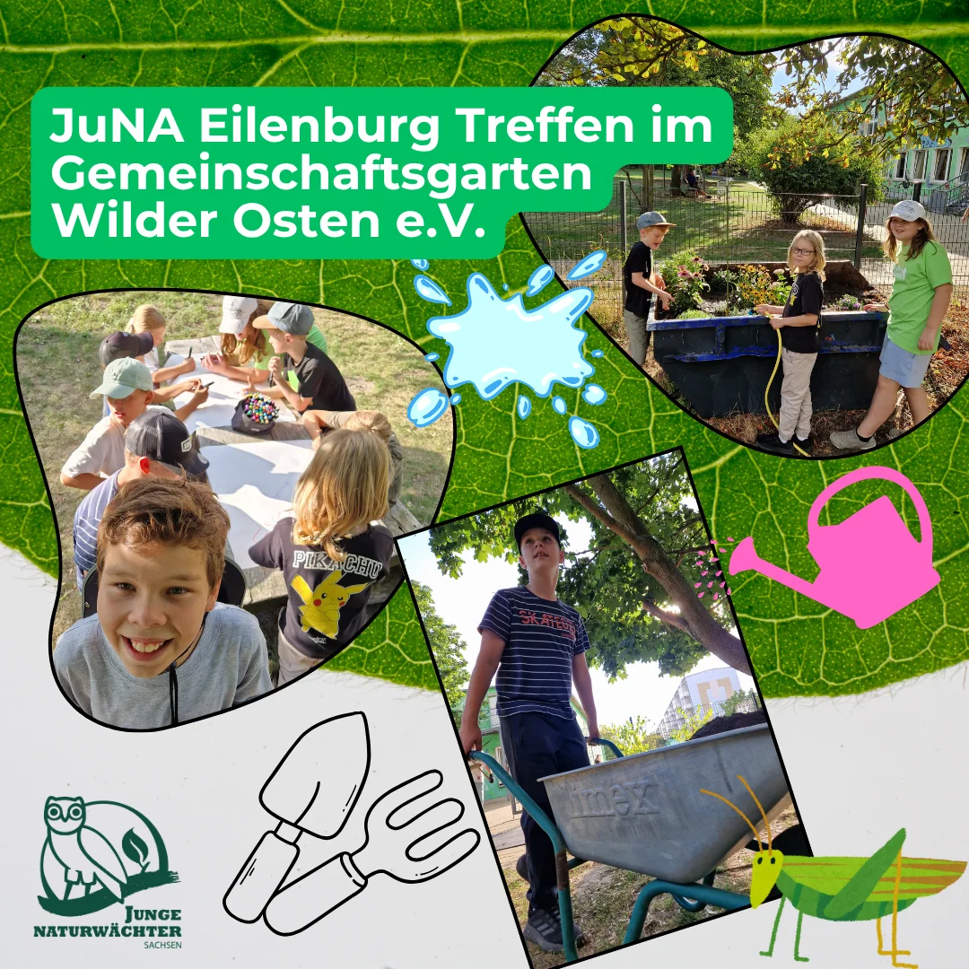 JuNA Eilenburg, LPV Nordwestsachsen