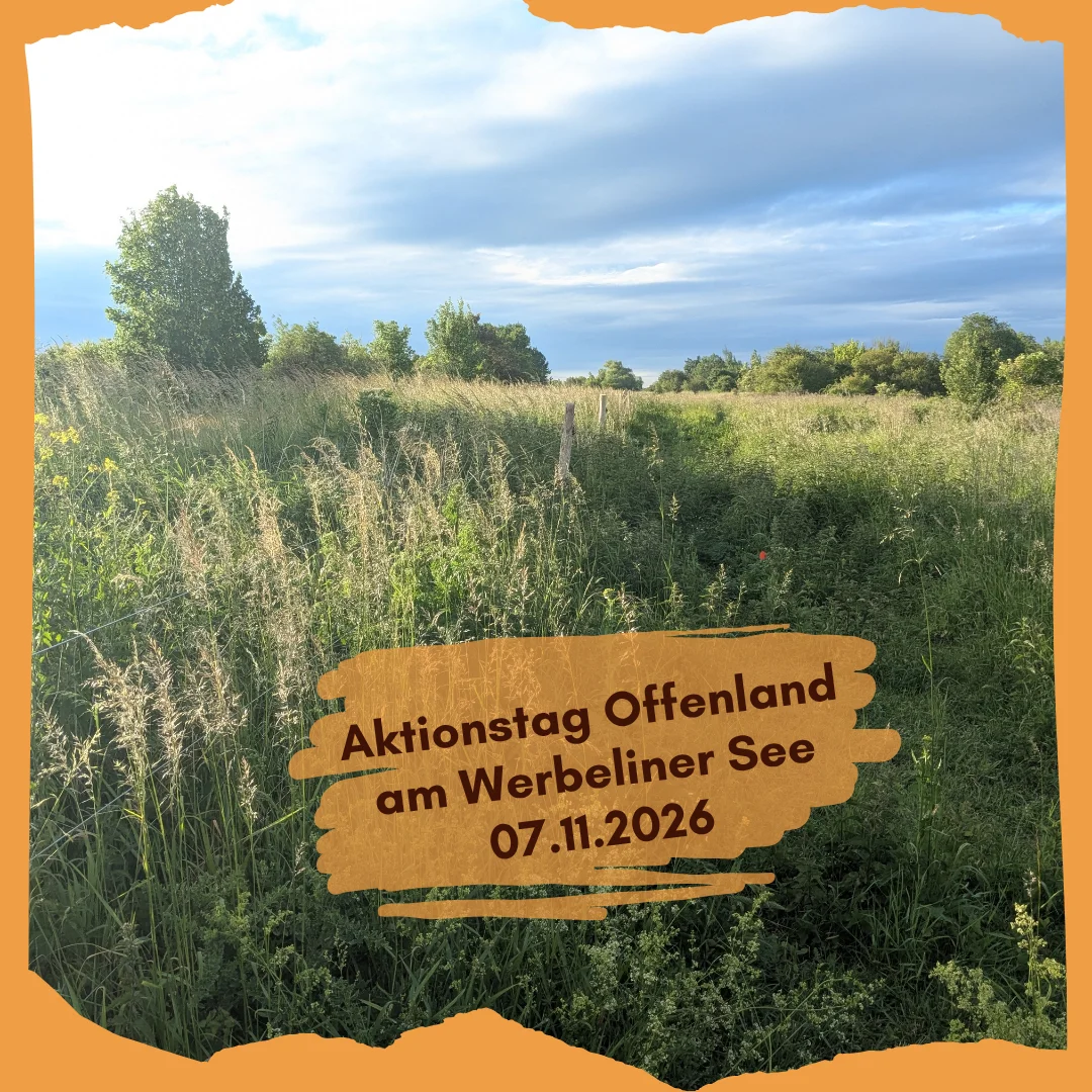 Aktionstag Offenland, LPV Nordwestsachsen