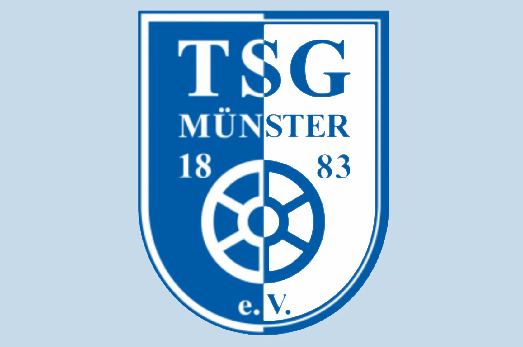 TSG Logo