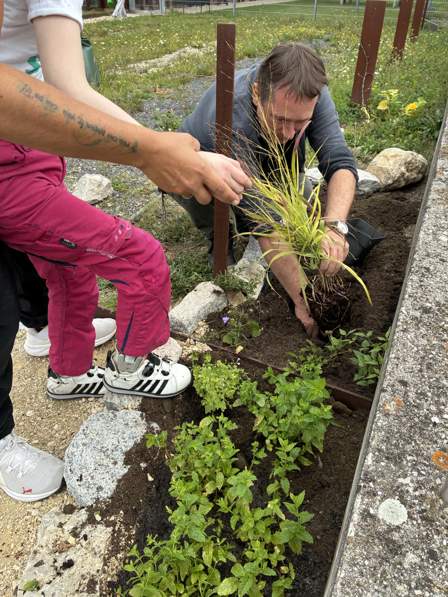Im Garten ein Beet aus Natursteinen: Menschen gemeinsam beim Pflanzen einsetzen