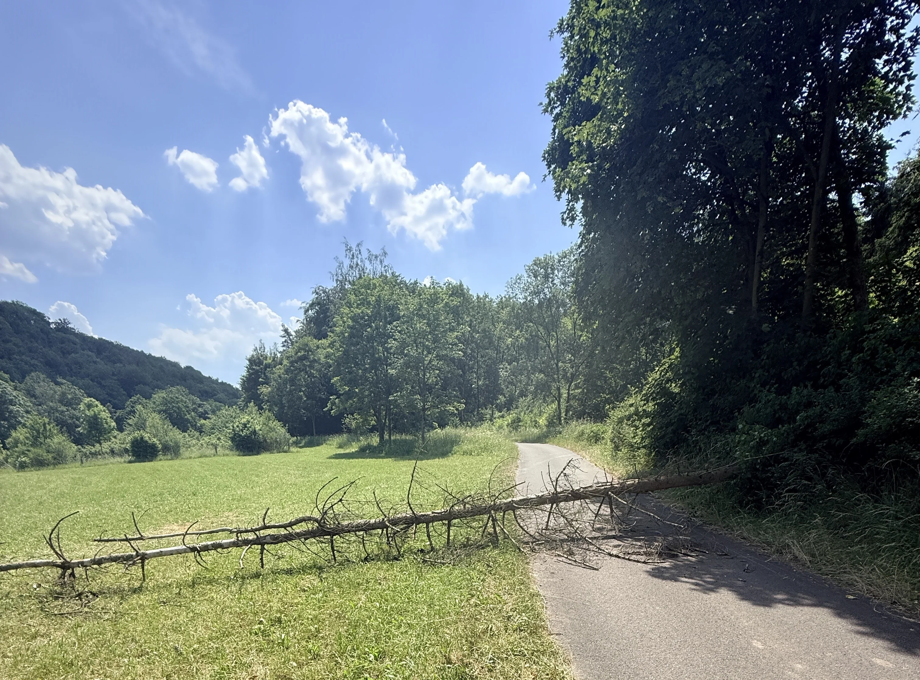 Radweg1