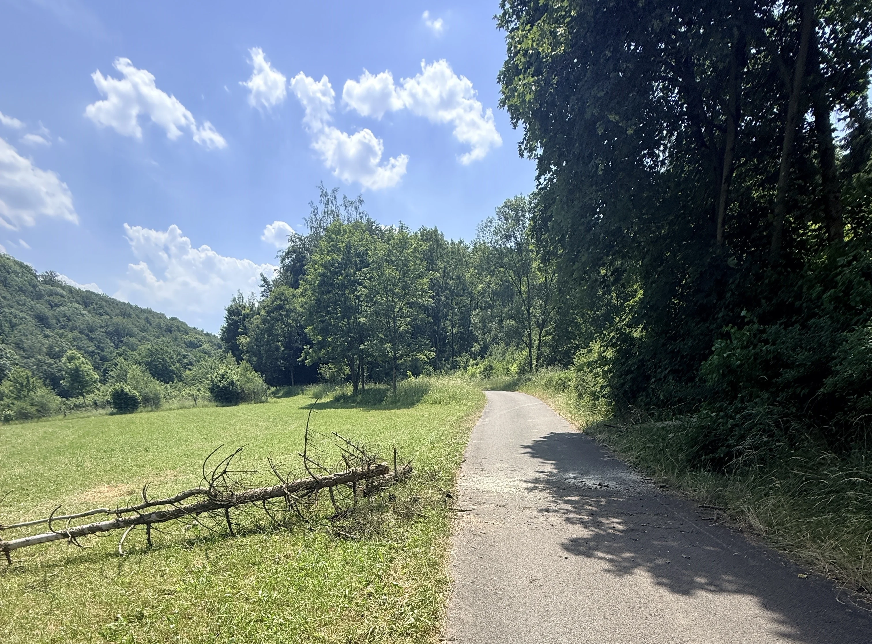 Radweg2