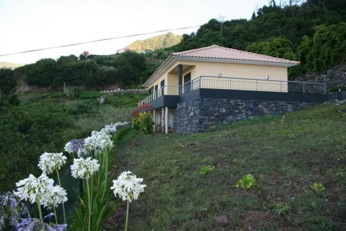 Madeira  001