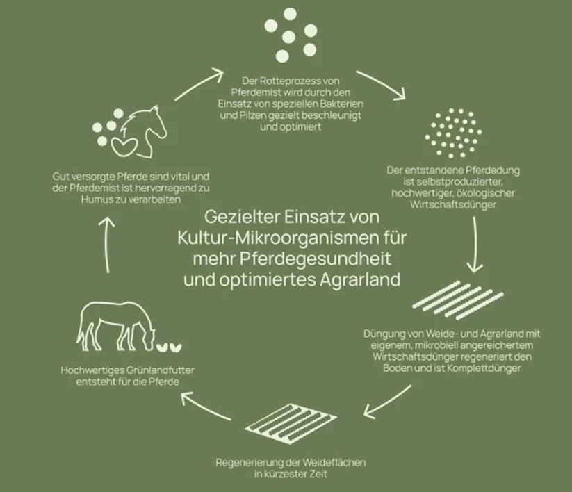 Verfahren
