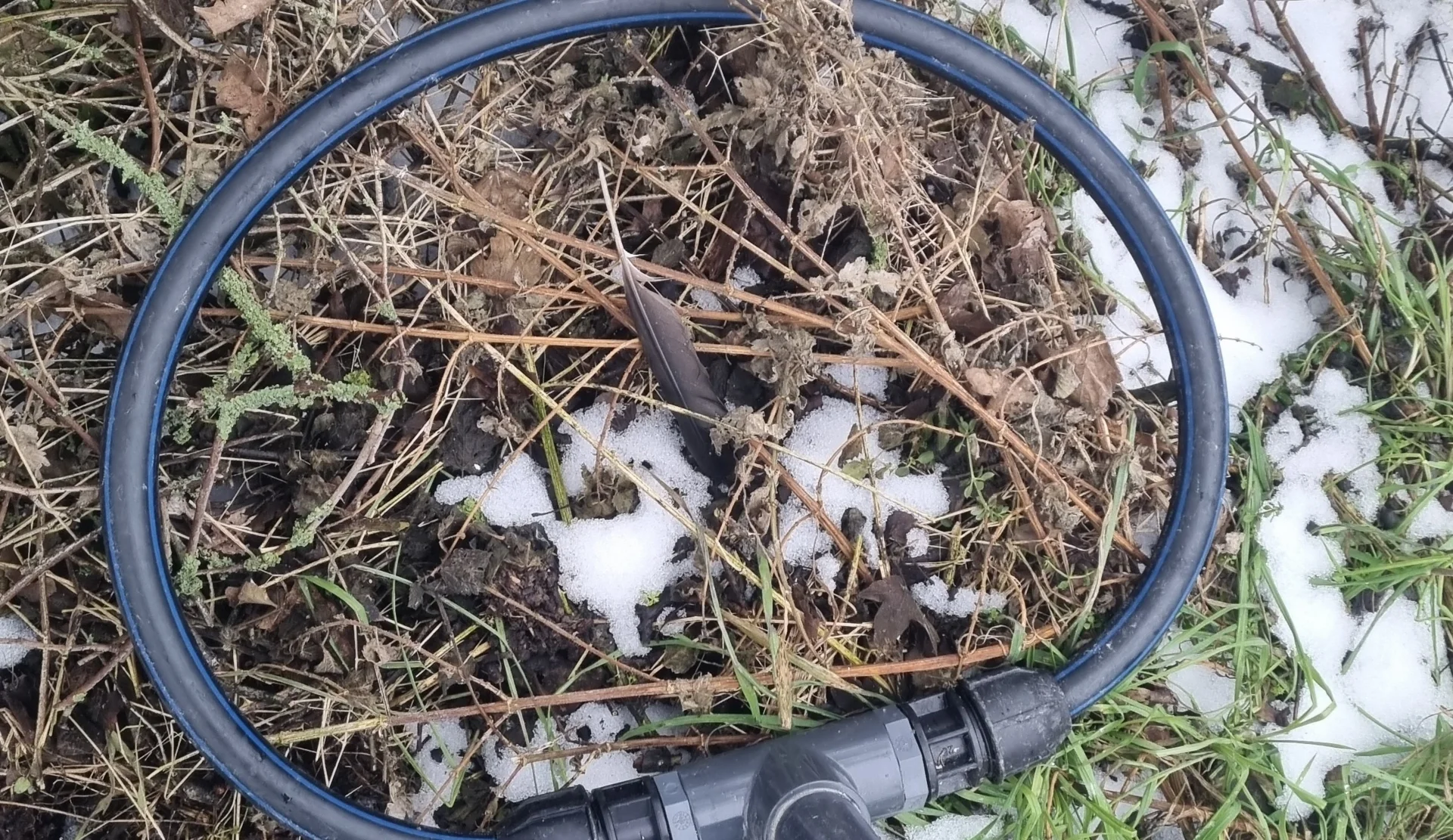 Detectors are used to find the PIT-tags (Photo: ©IfB)