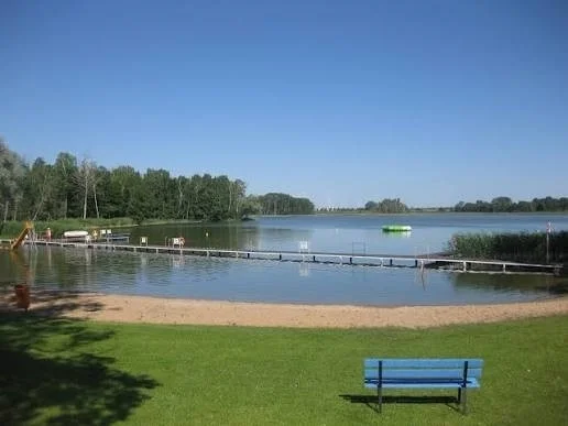 dsfsd