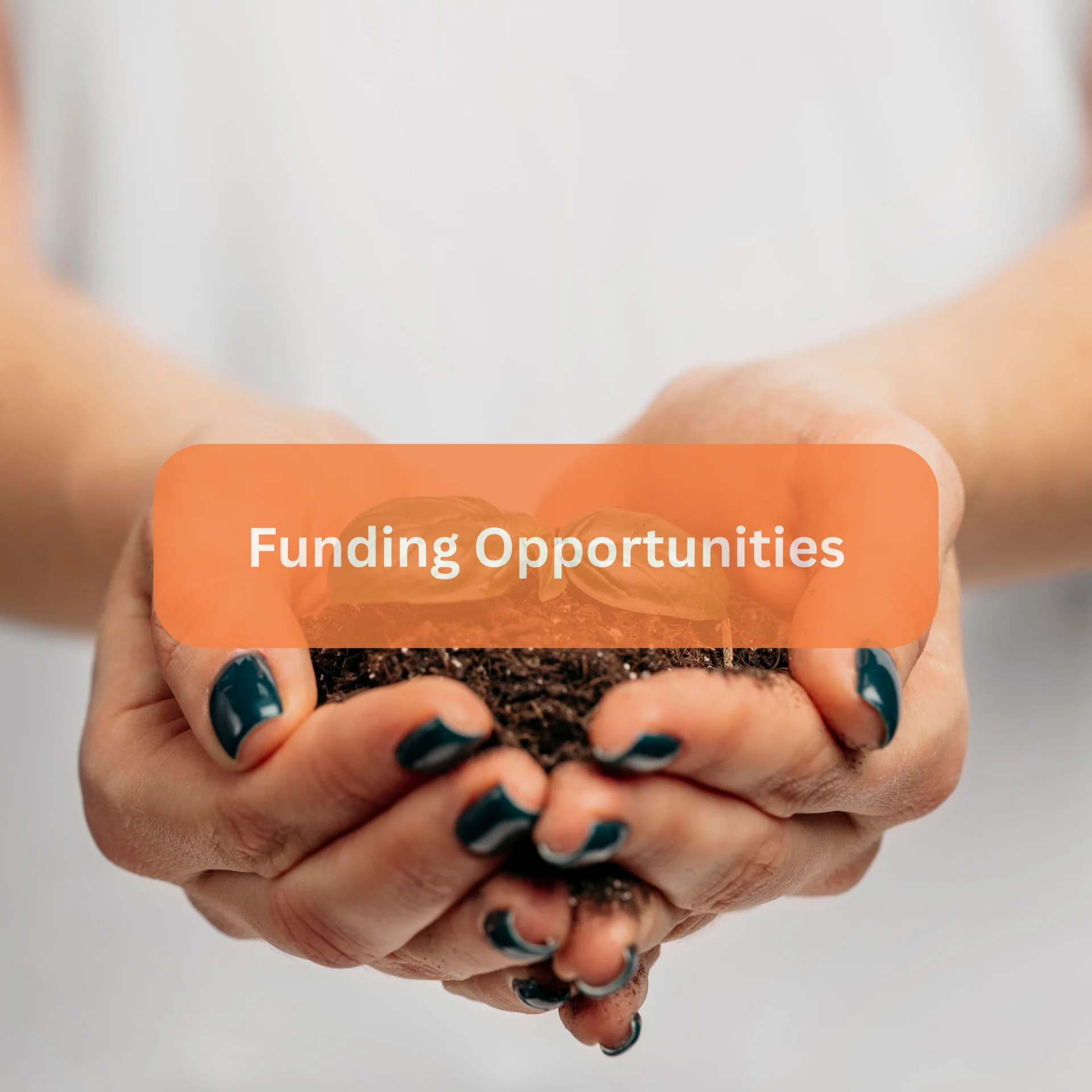 Funding Opportunities