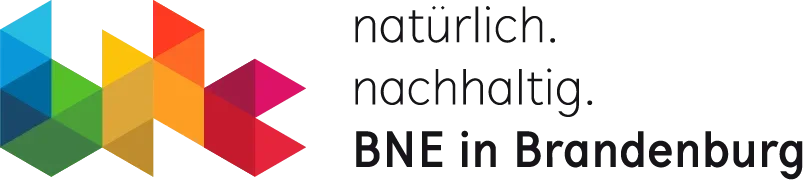 Logo BNE