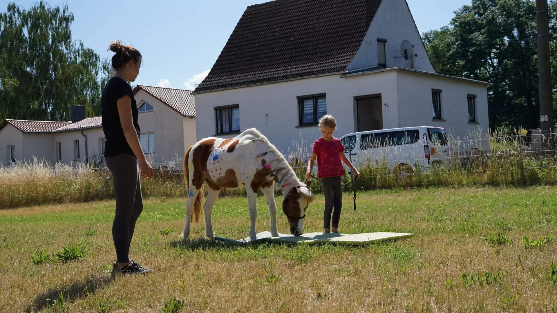 reiten lernen für kinder
