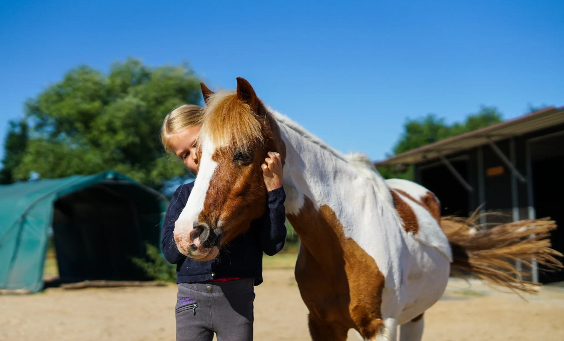 reittherapie markranstädt leipzig therapie mit pferden