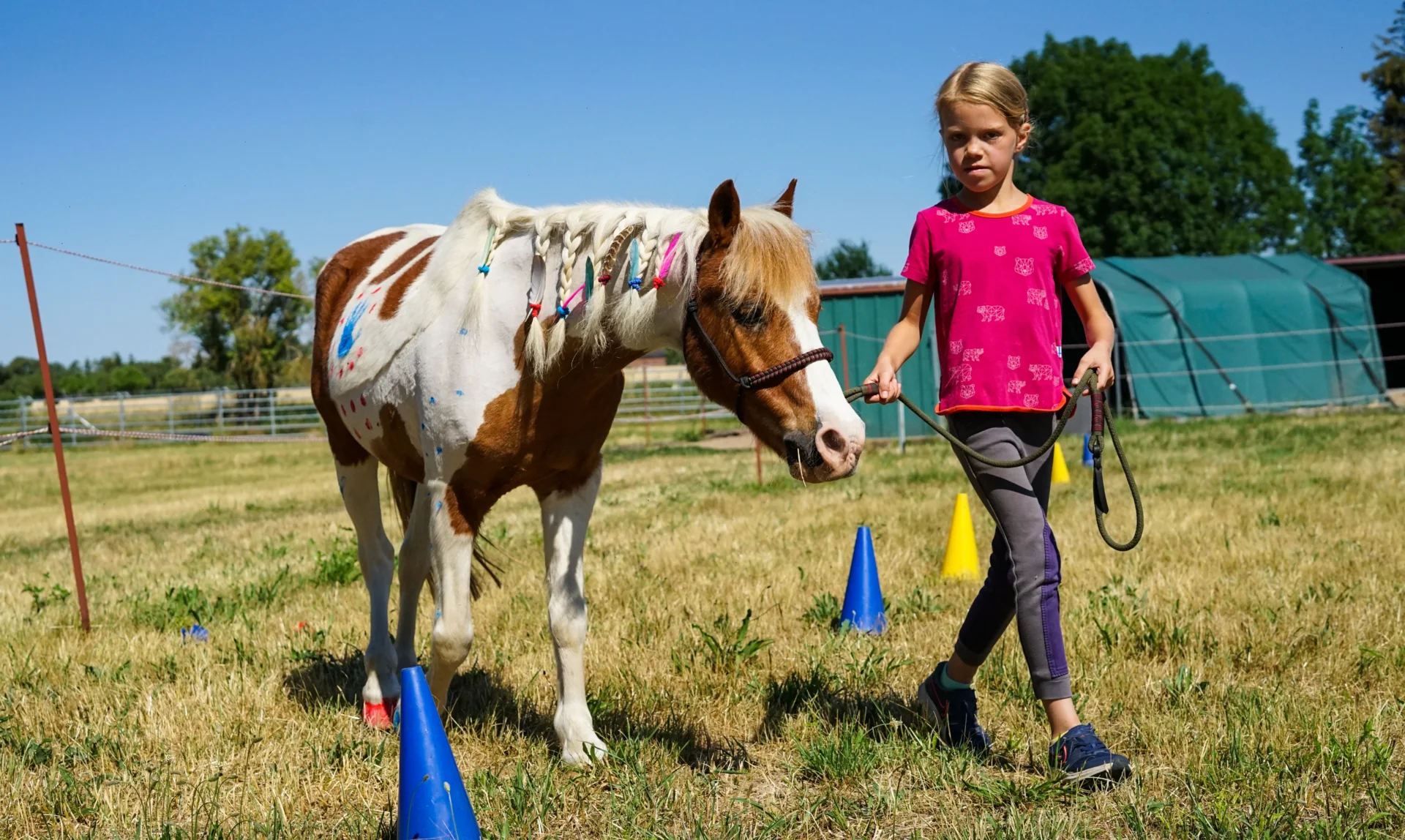 reittherapie heilpädagogik sozialkompetenzen