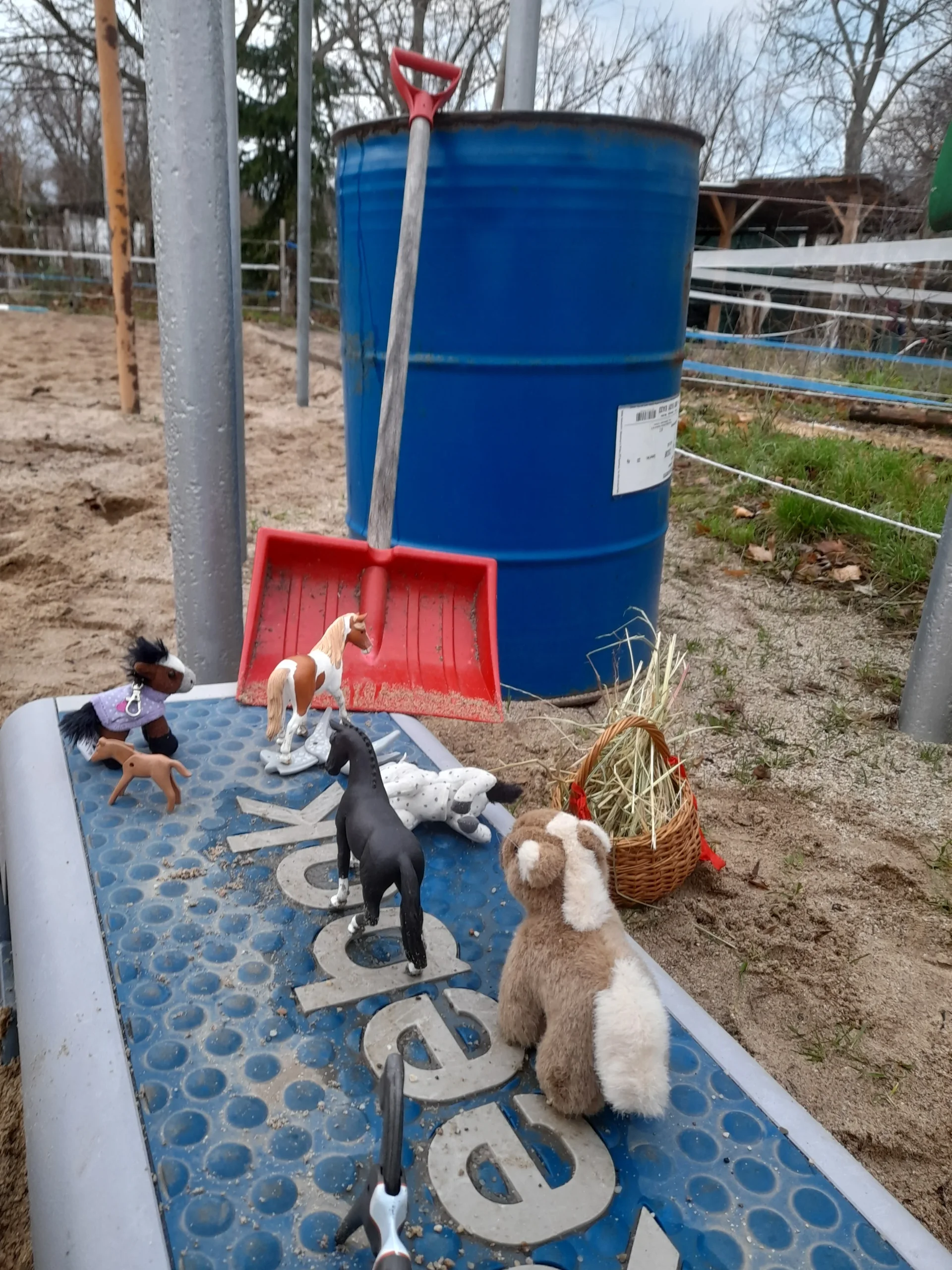 reittherapie spielen kinder natur pferde