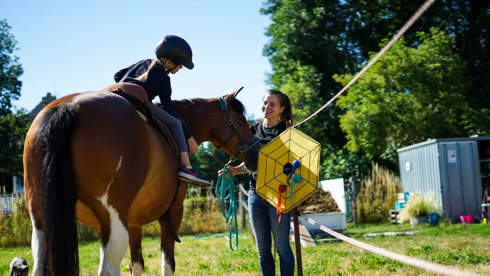 reittherapie motorik