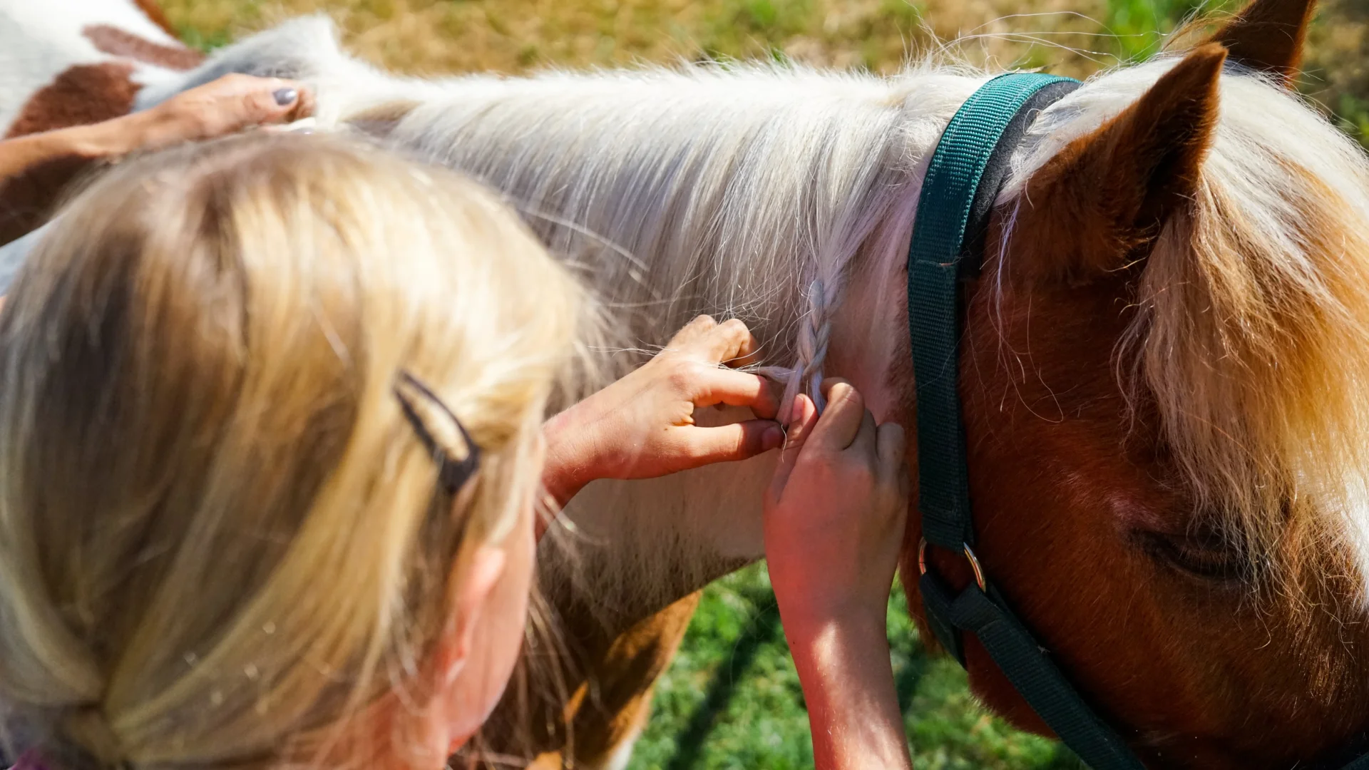 Vorschule Feinmotorik Pferd Reittherapie