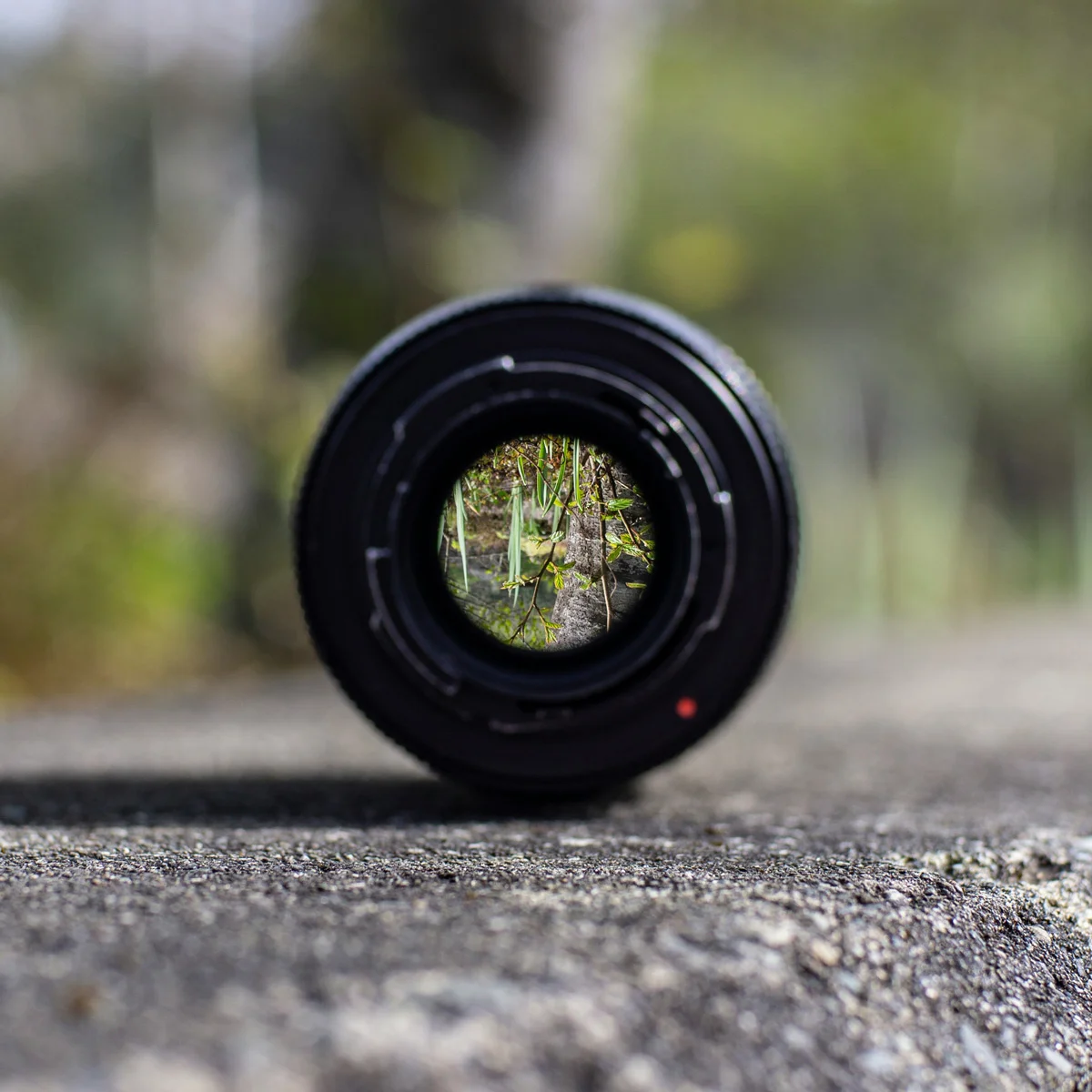 Fokusthemen (Foto von Jasper Garratt auf Unsplash)