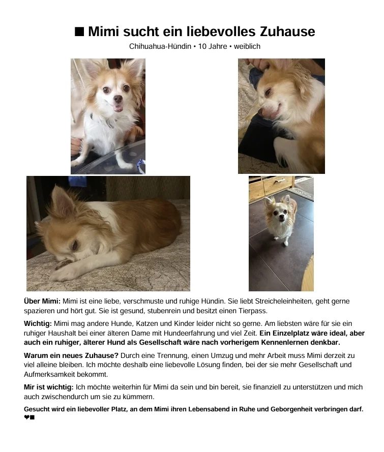 Steckbrief