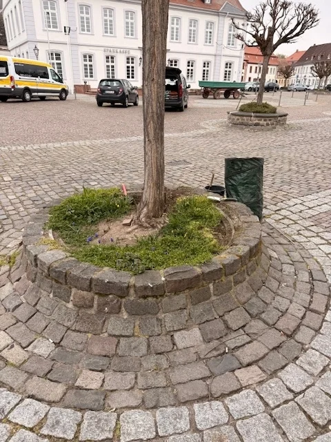 Rondell vor der Aktion