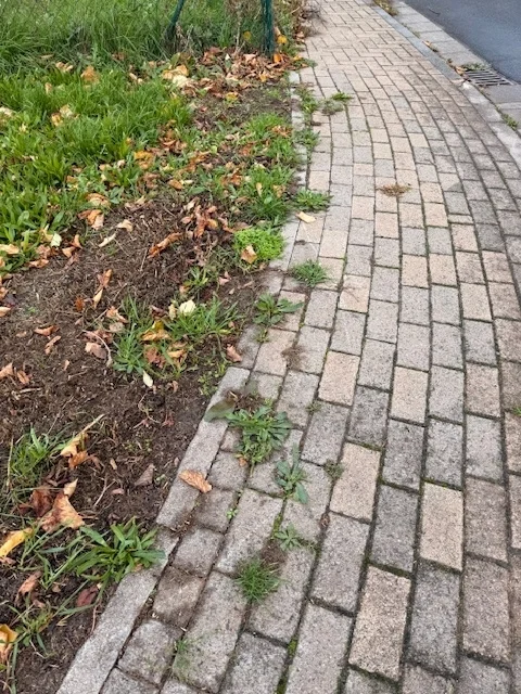 3. Bürgersteigaktion_Vorher
