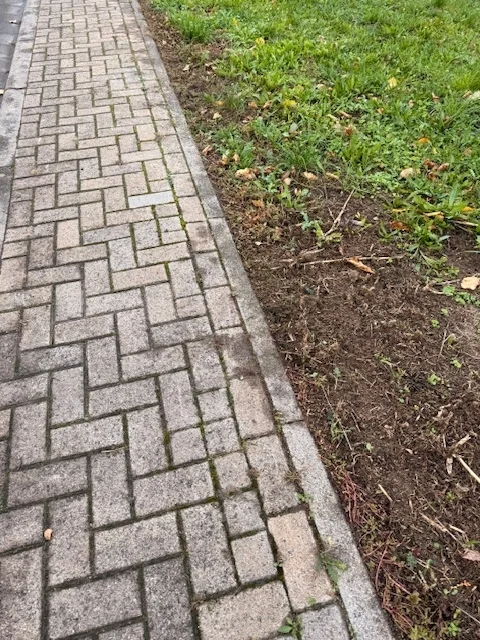 3. Bürgersteigaktion_Nachher