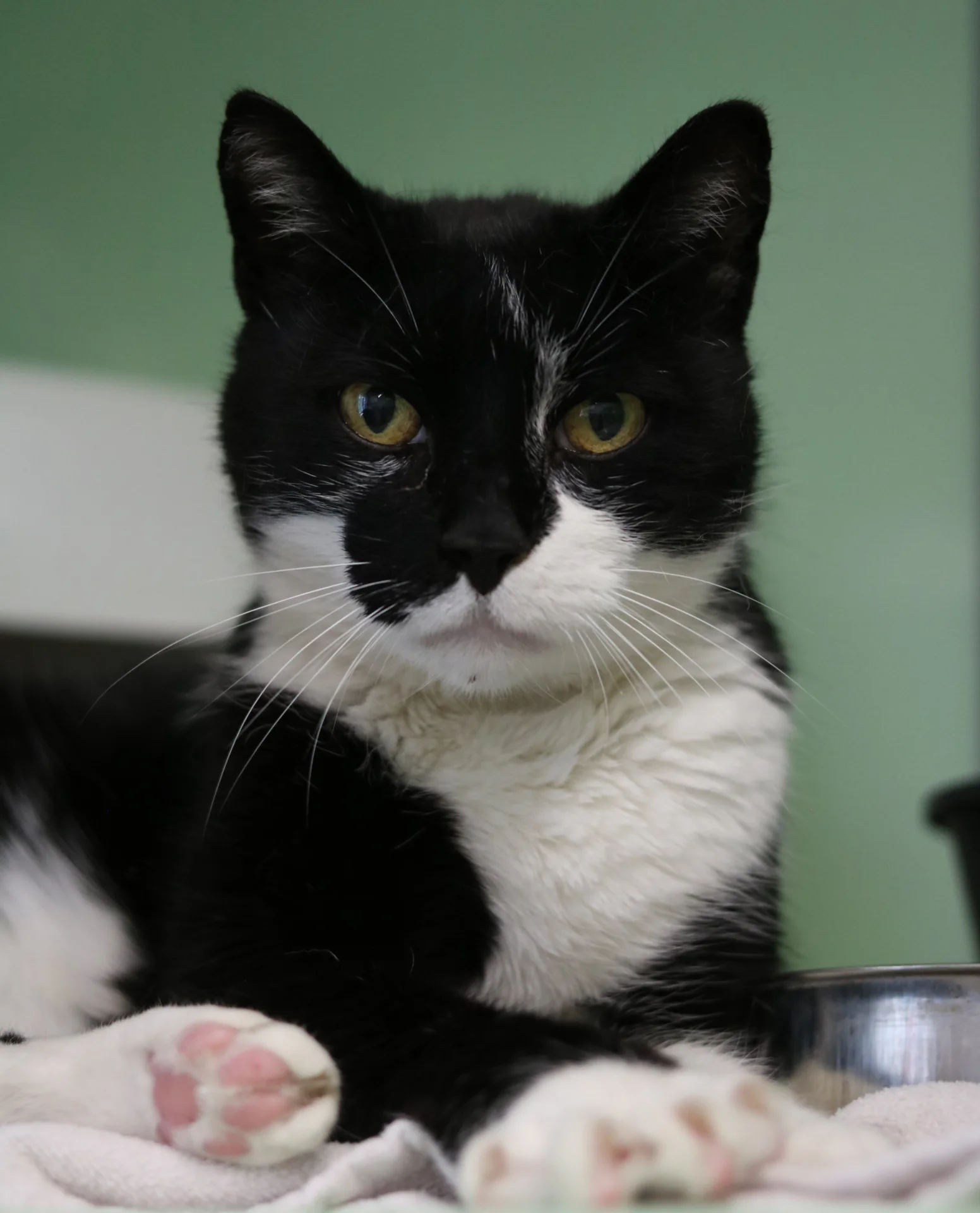 IMG_7647