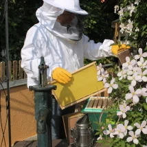 Der Bienenfritze