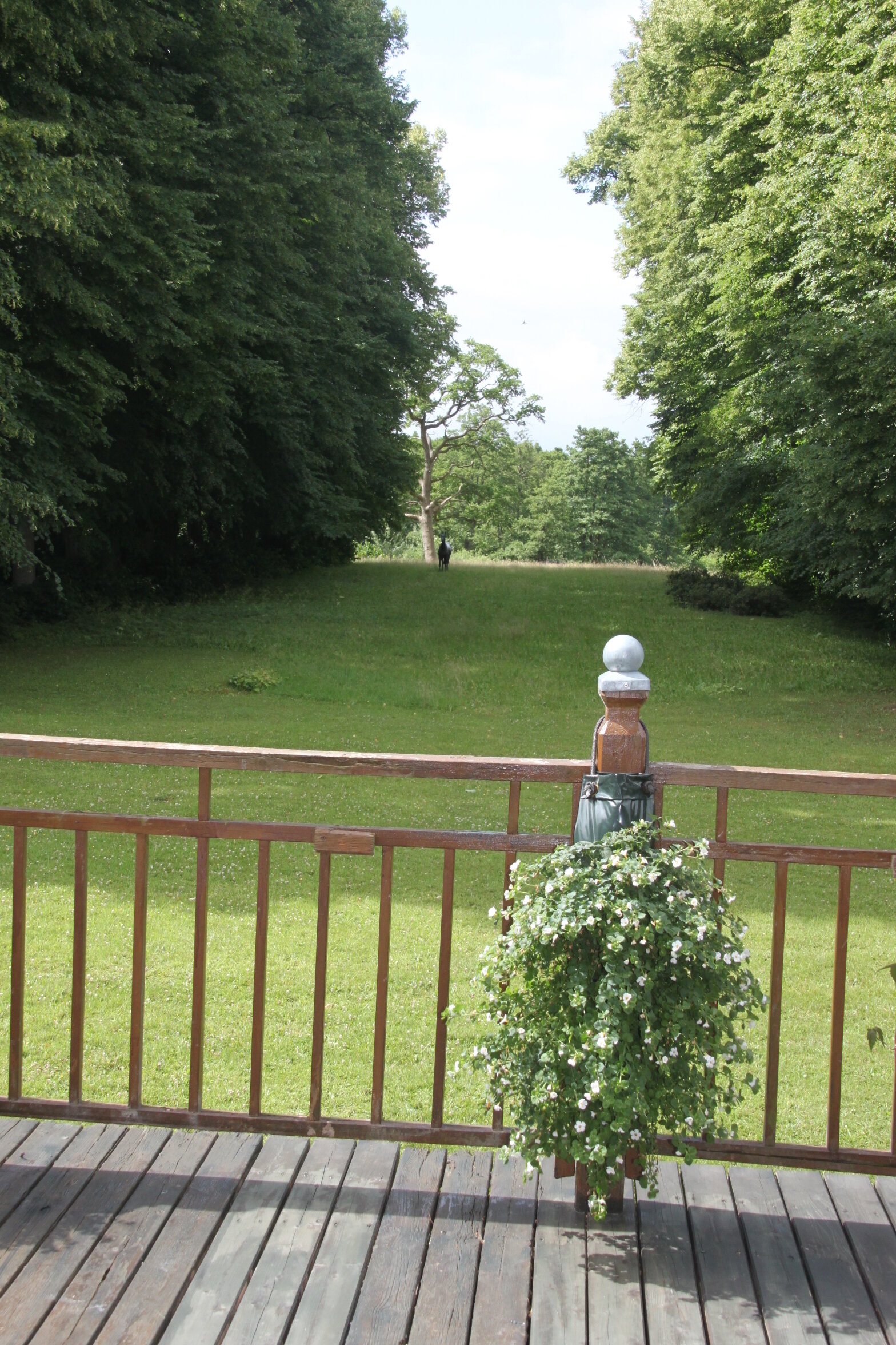 Gut Marutendorf Blick Garten