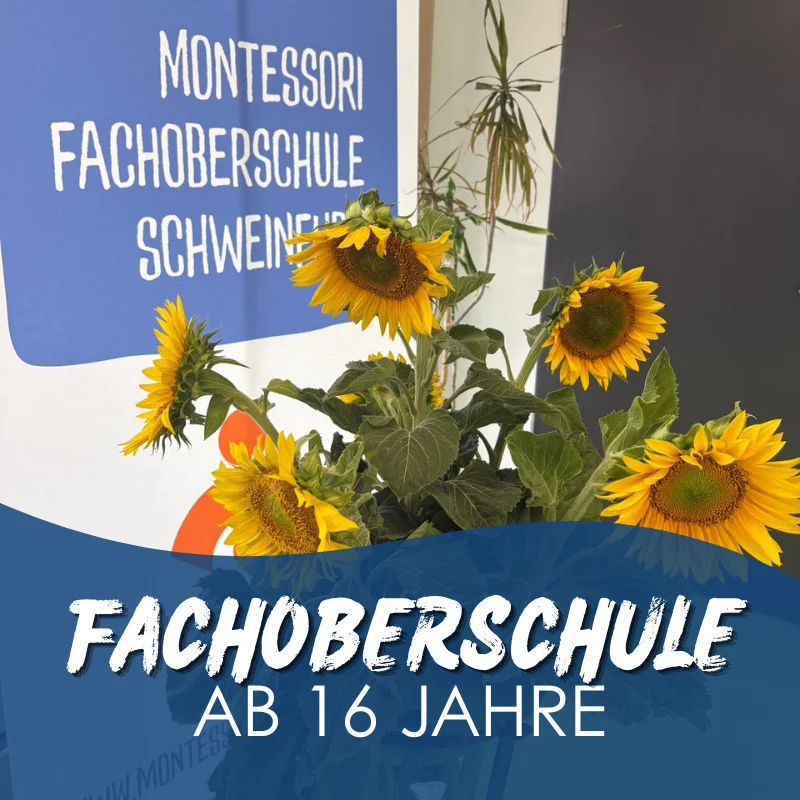 Unsere Fachoberschule