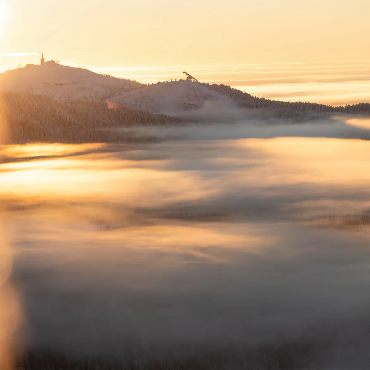 rukakuusamo_konttainen_Salla_Karhumaa-13