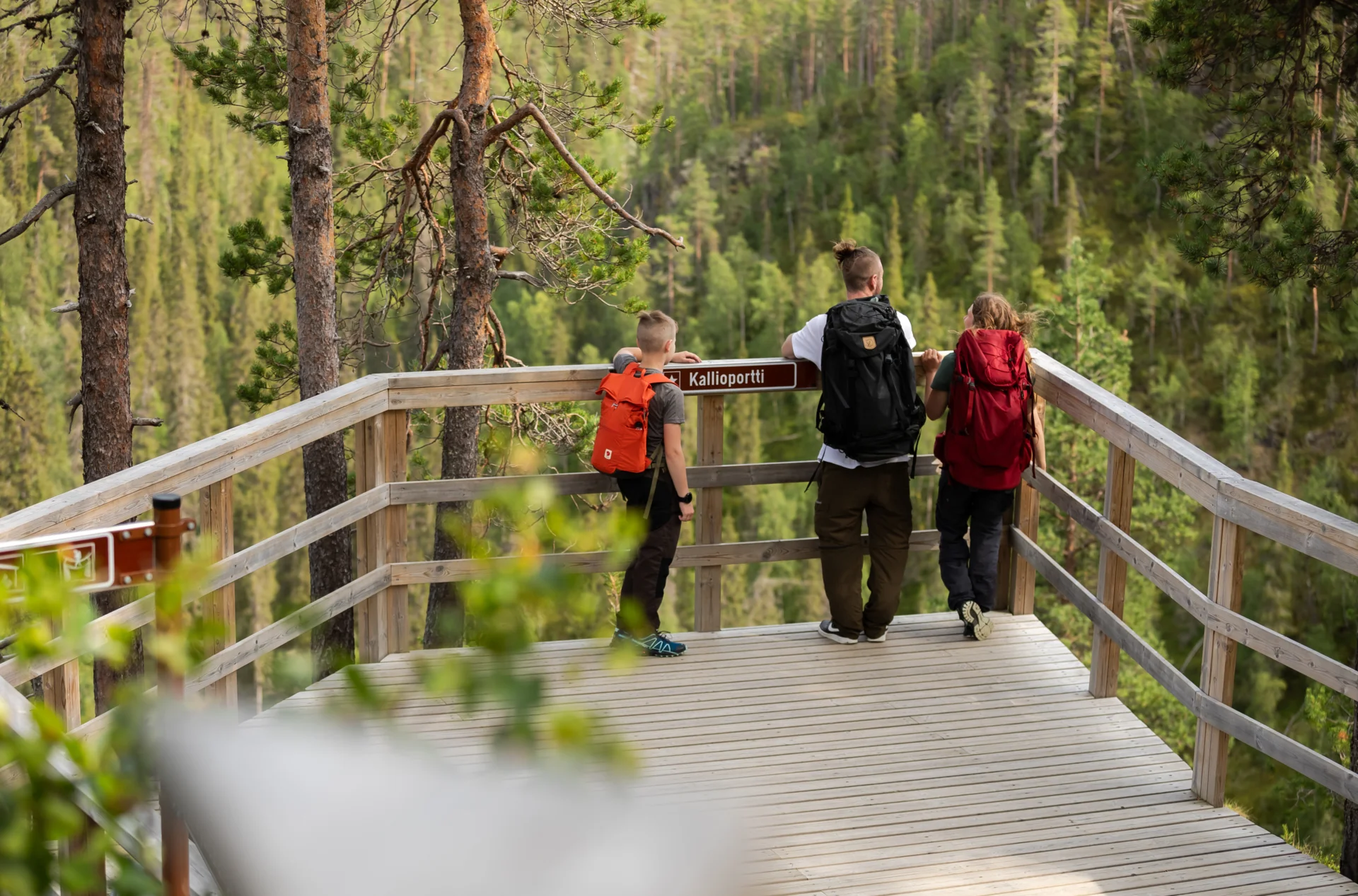 rukakuusamo_summer_hiking_oulankanationalpark_JaniKarppa - beschnitten