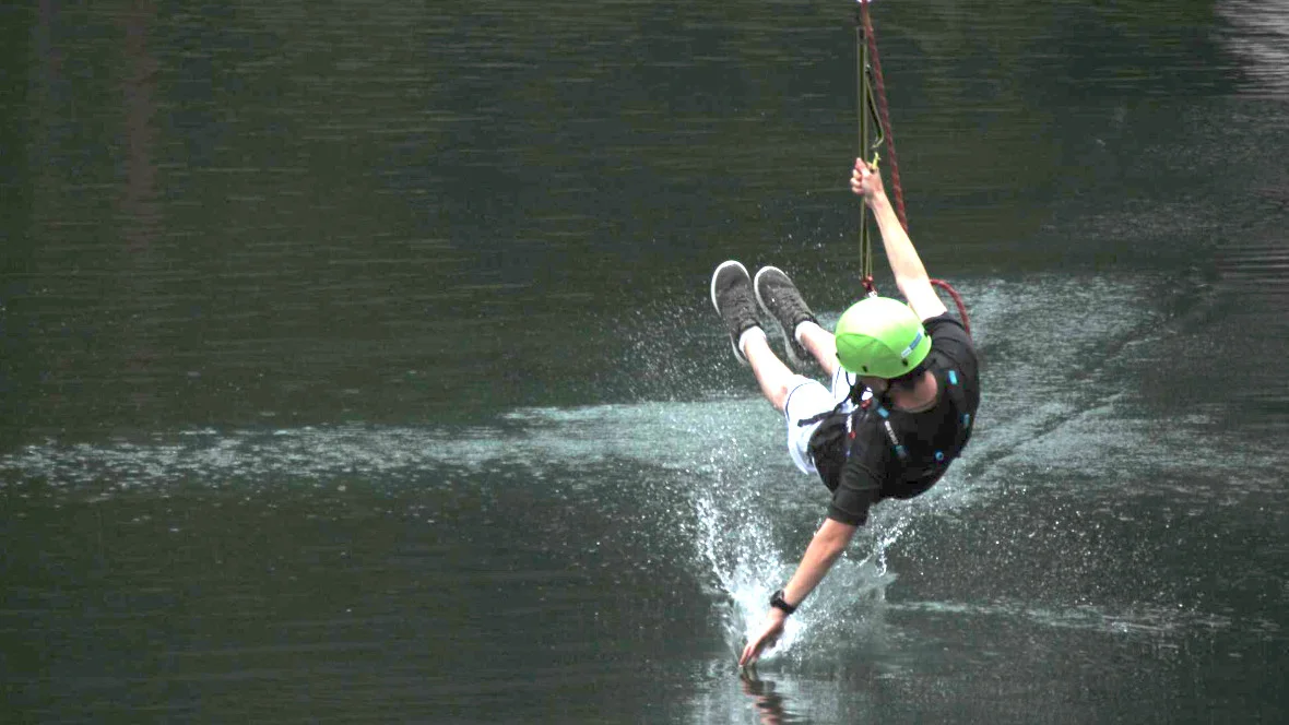 Flying Fox in Action