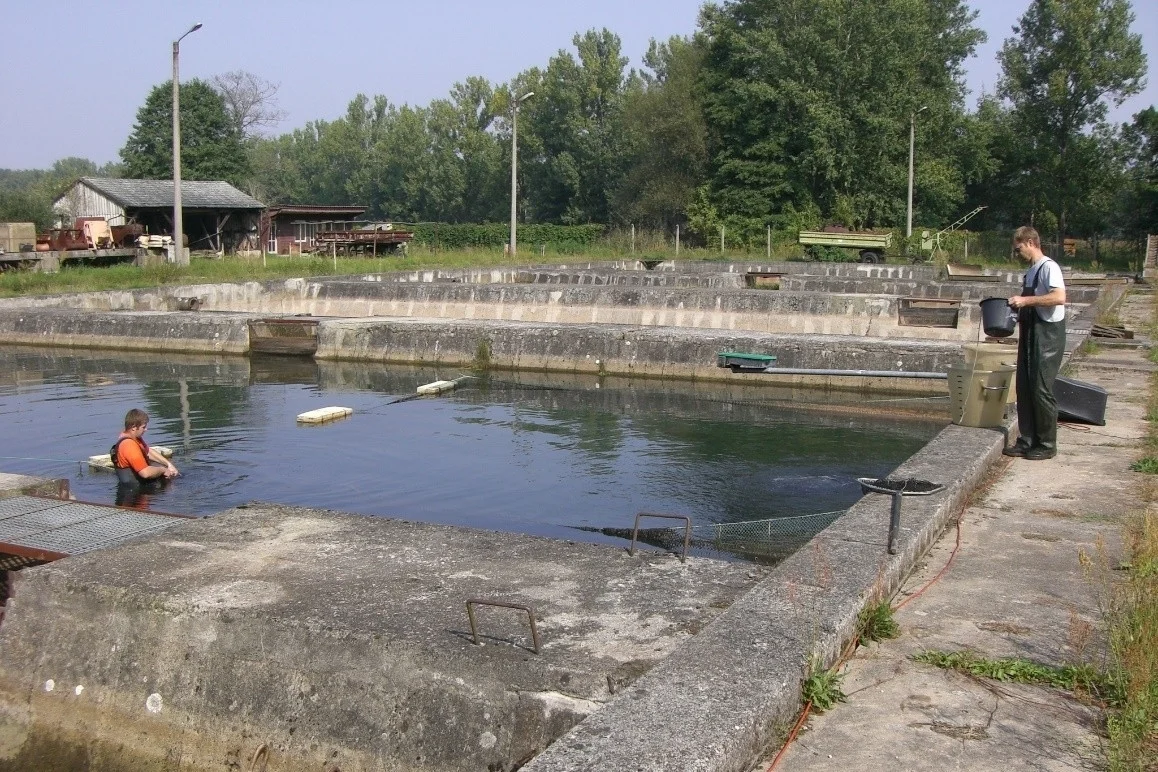 Betonhälteranlage (Foto: © A. Müller-Belecke, IfB)