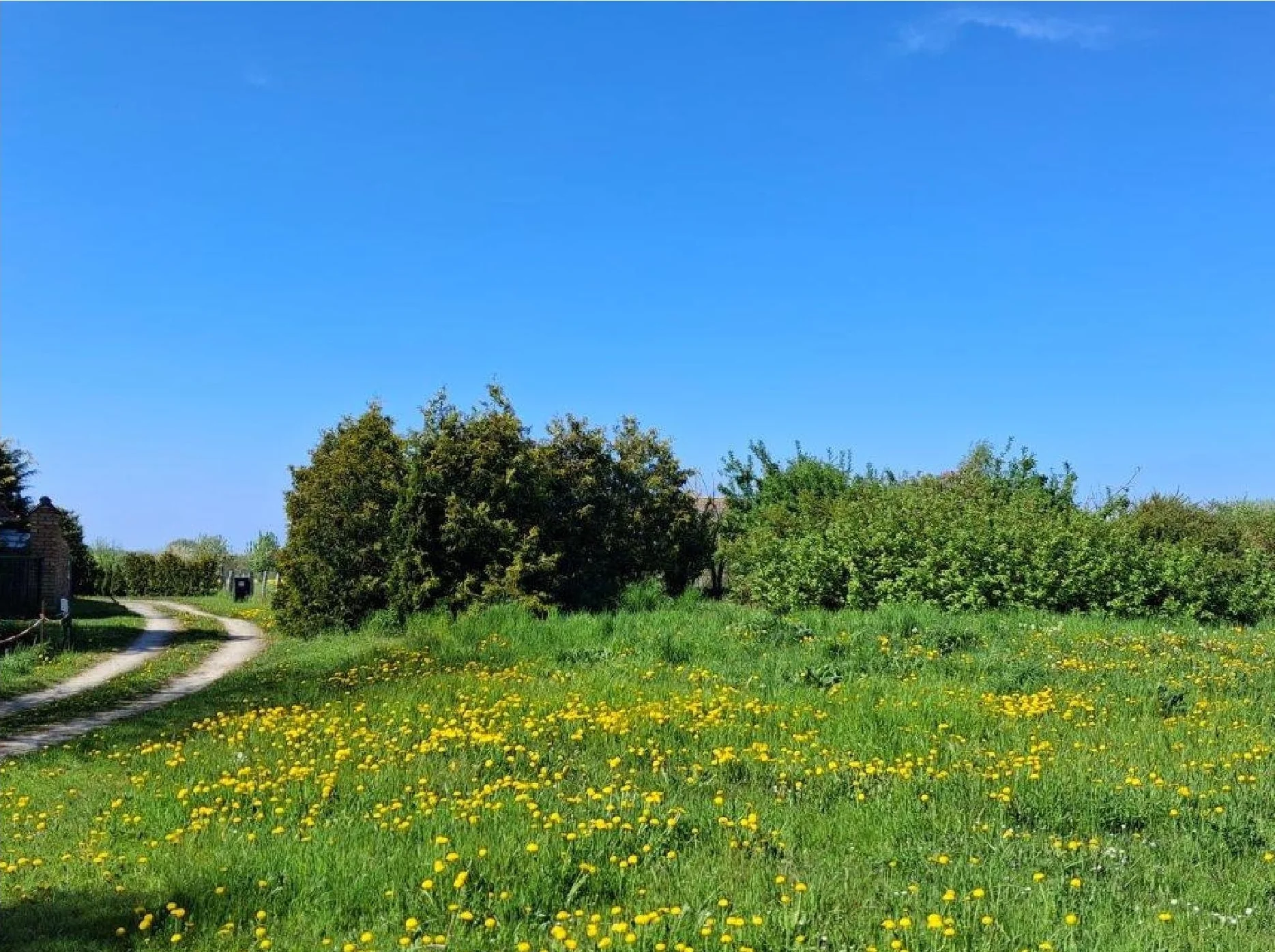 fotos_grundstuecke_zweedorf_1_6 (1)_5