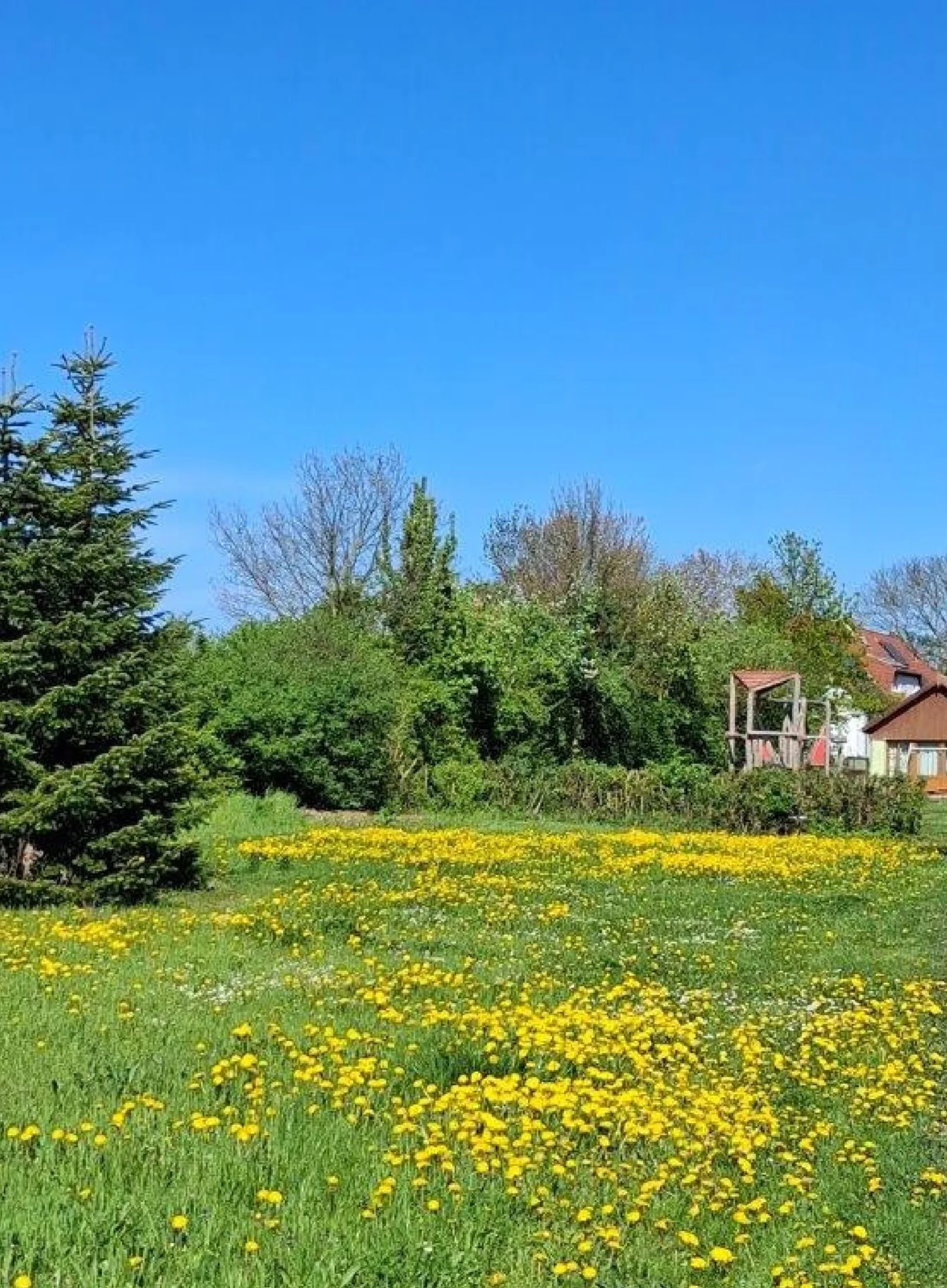 fotos_grundstuecke_zweedorf_1_6 (1)_3