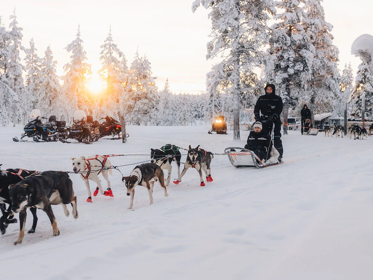 Winter_Husky_2