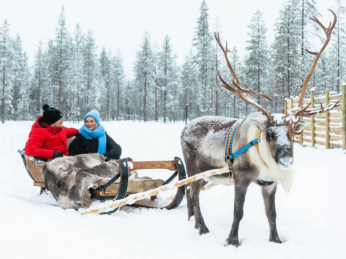 LWP Reindeer ride