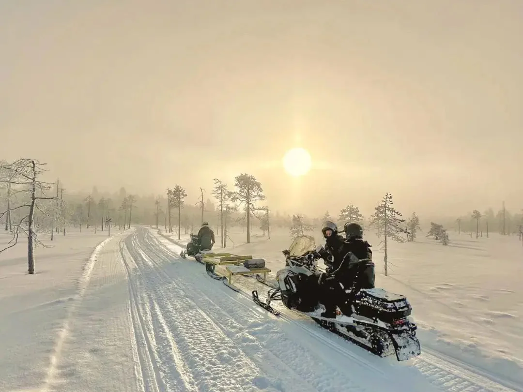 LWP Snowmobile