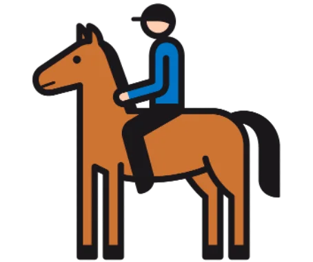 Reiten