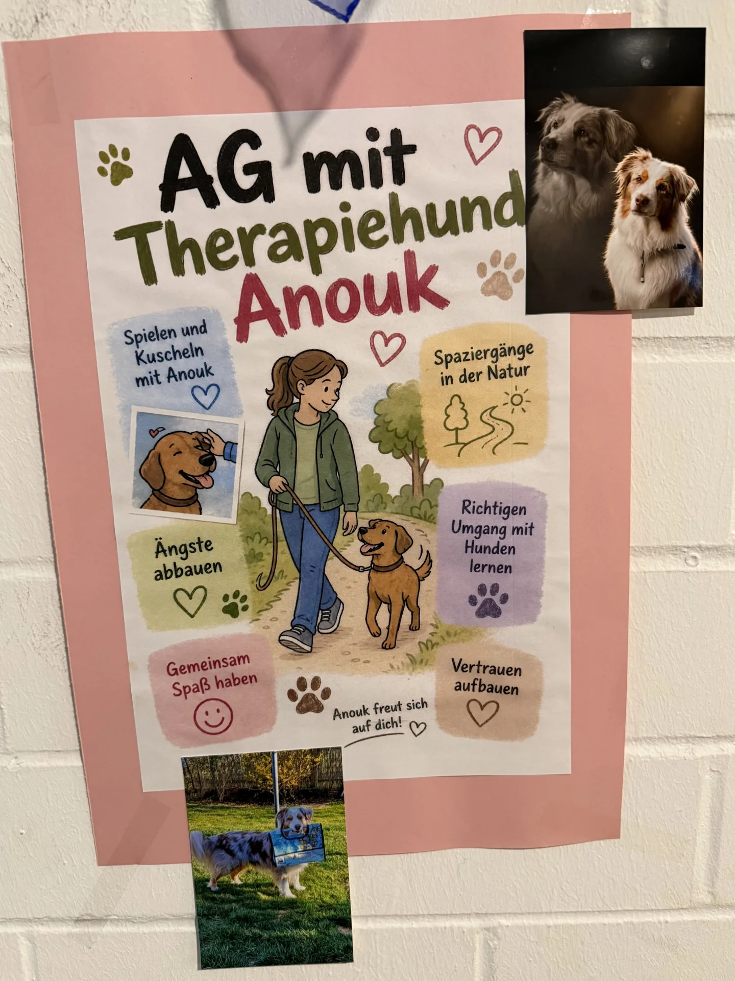 Hund