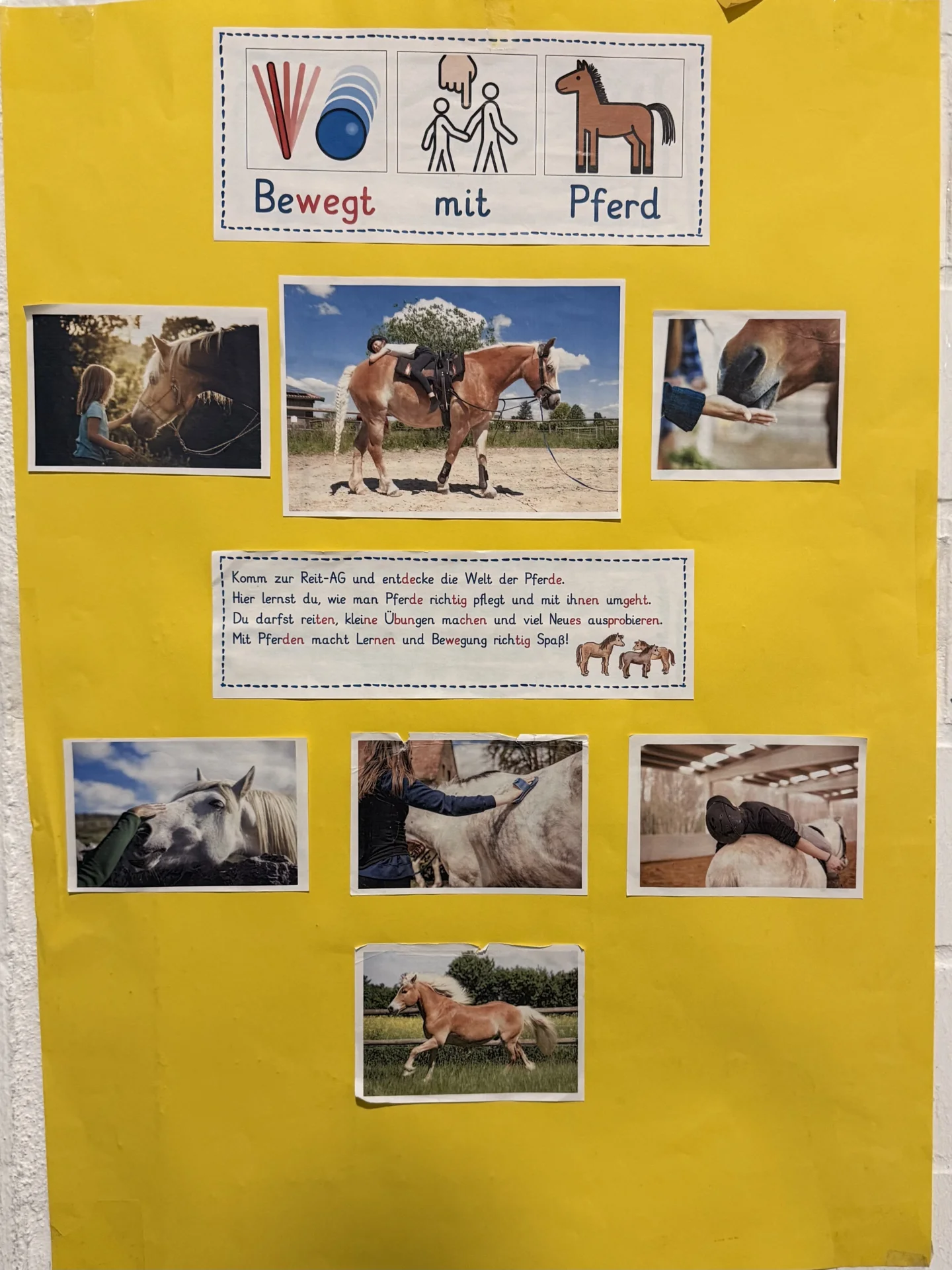 Bewegt mit Pferd