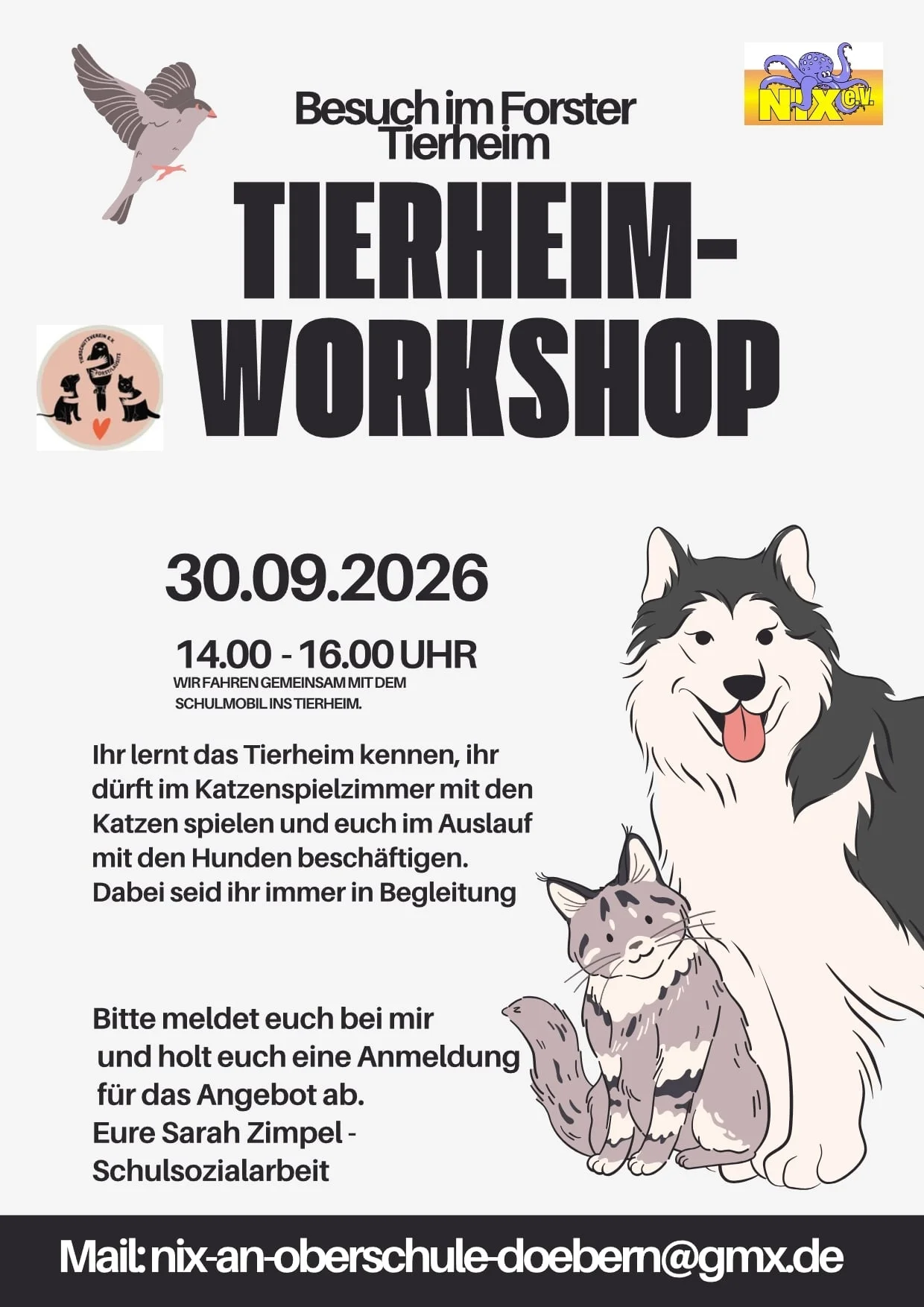 Tierheim Workshop