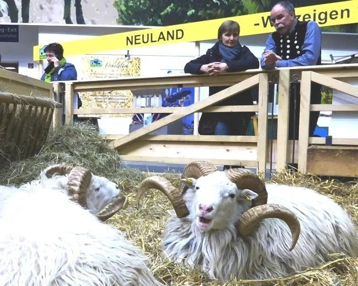 "Skuddenplausch" auf der IGW in Berlin