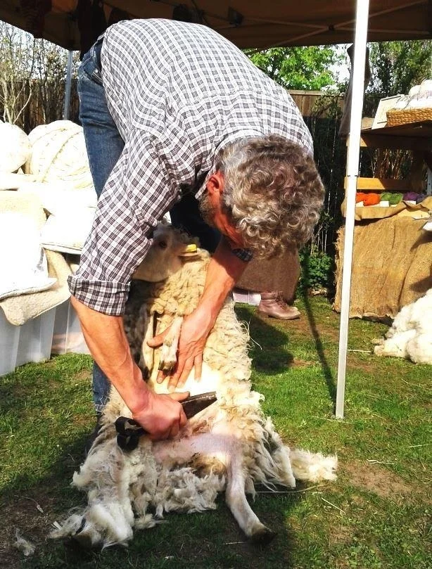 skudden_mit_der_handschere_scheren