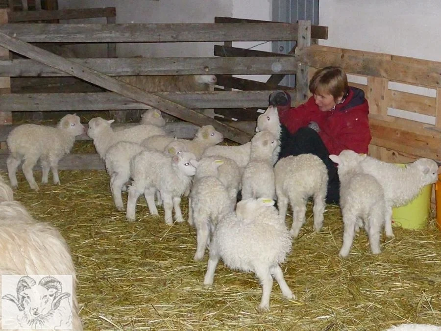 Vertrauen bildende Maßnahme