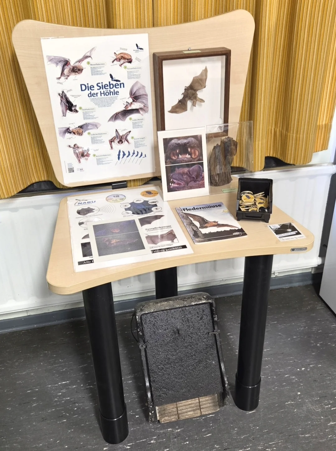 2026 Fledermaus Ausstellungstisch