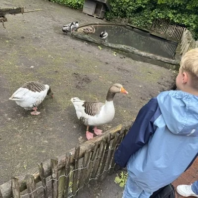 -