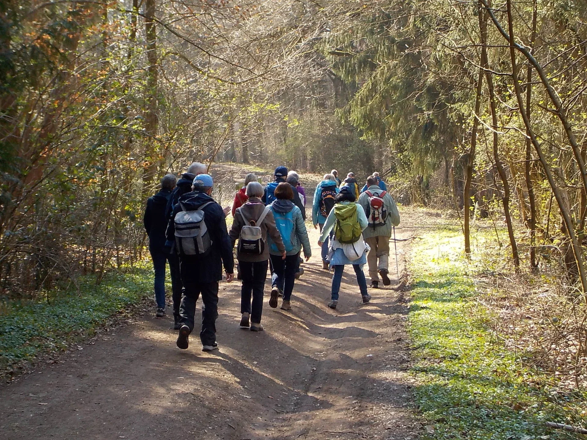 Bild zeigt Teilnehmer*innen bei einer Wanderung für Senior*innen, Foto: Stadt Maintal